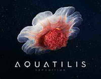 Жол қауіпсіздігі – басты назарда: ауқымды тексерулер басталды