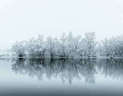 «6 жасар қызыма азғындық жасамақ болды»: Түркістандық әйел жағаұстатар жағдайды айтып, әділдік сұрады
