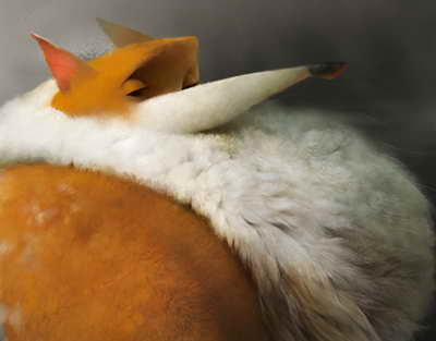 Azərbaycanda yeni zavod inşa ediləcək